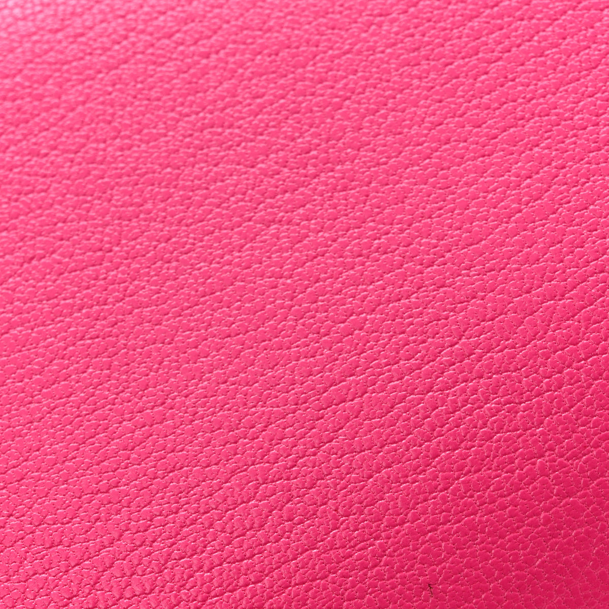 Chevre Chamkila Constance 18 Rose Pop