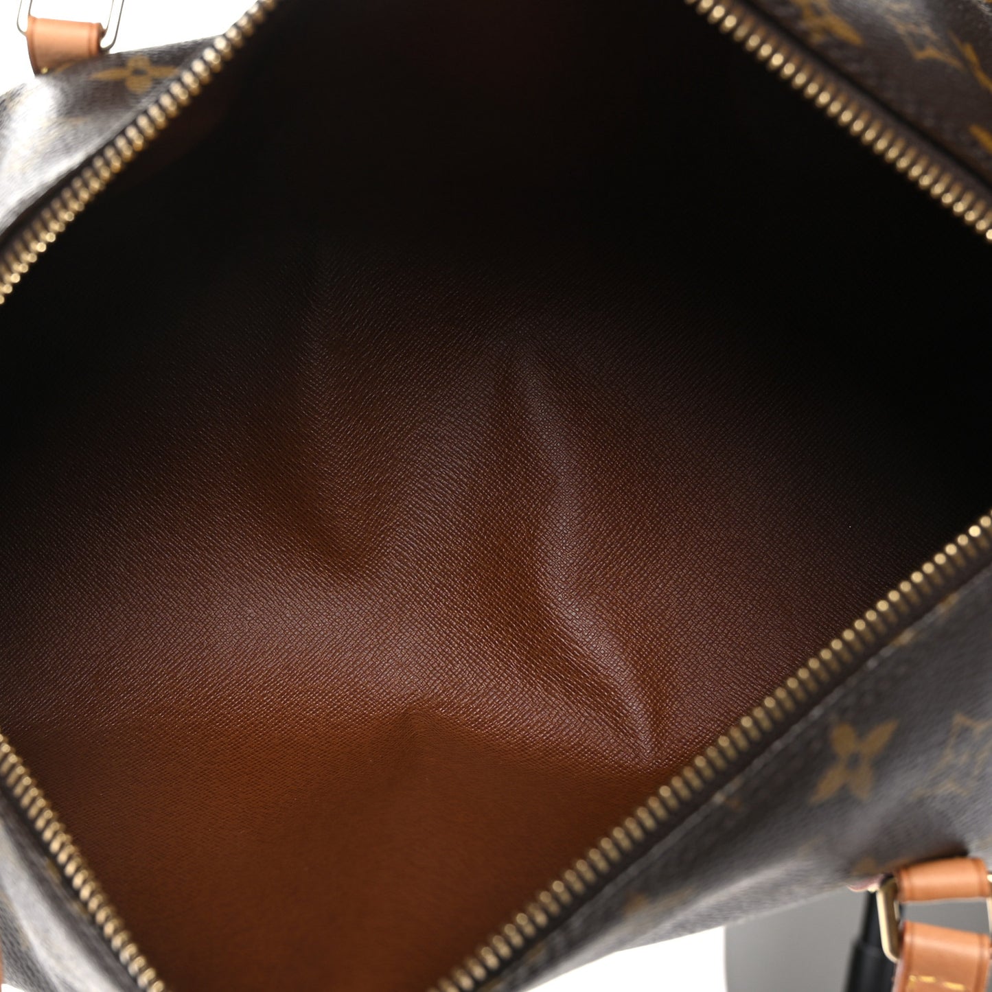 Monogram Papillon 30 with Companion