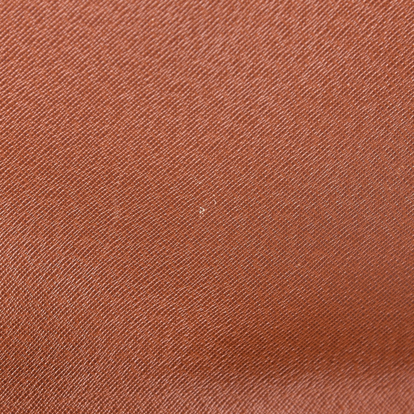Monogram Musette Tango