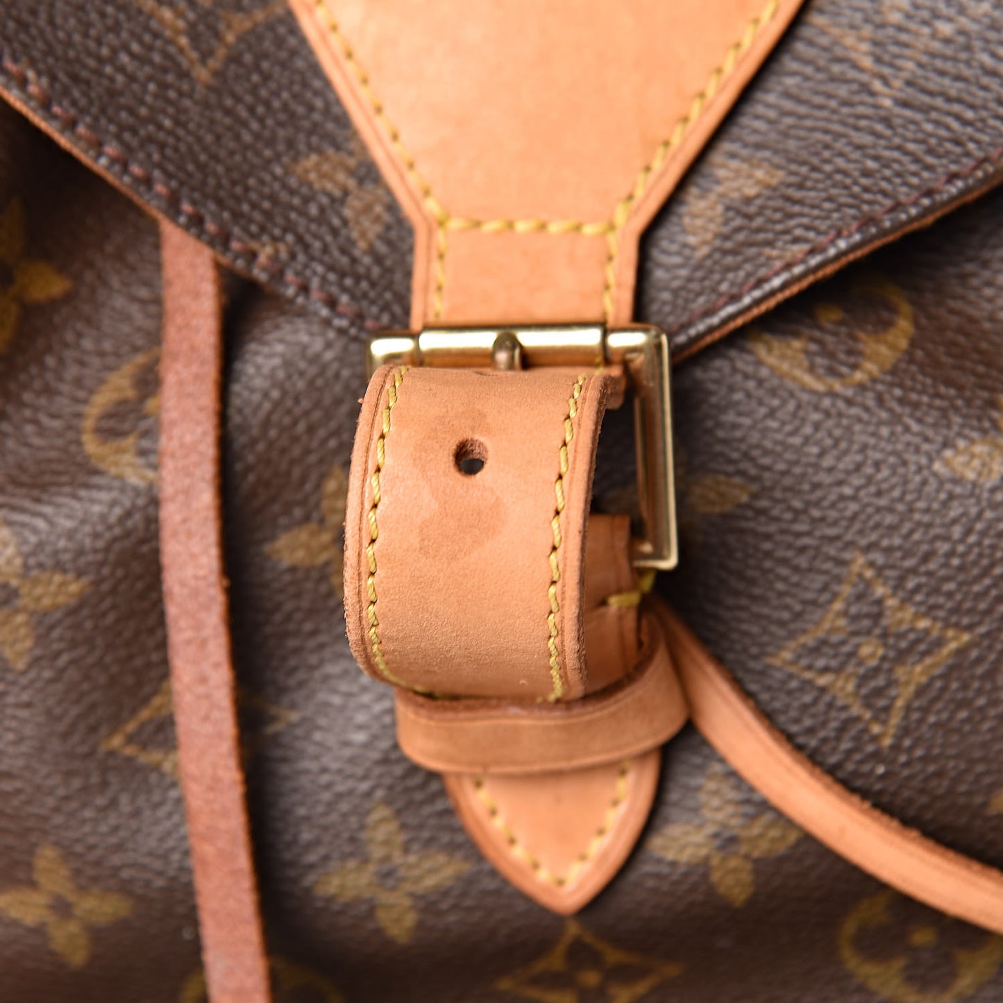 Monogram Montsouris GM Backpack