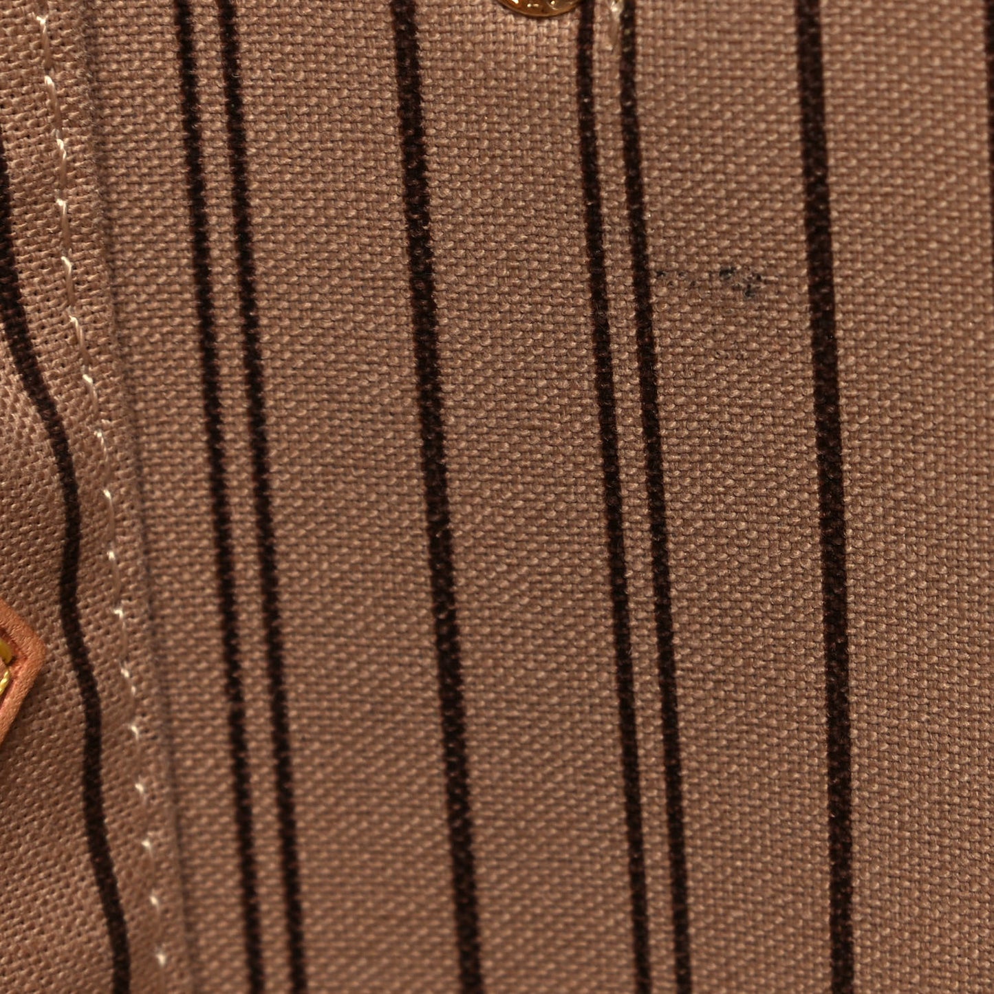 Monogram Neo Neverfull MM