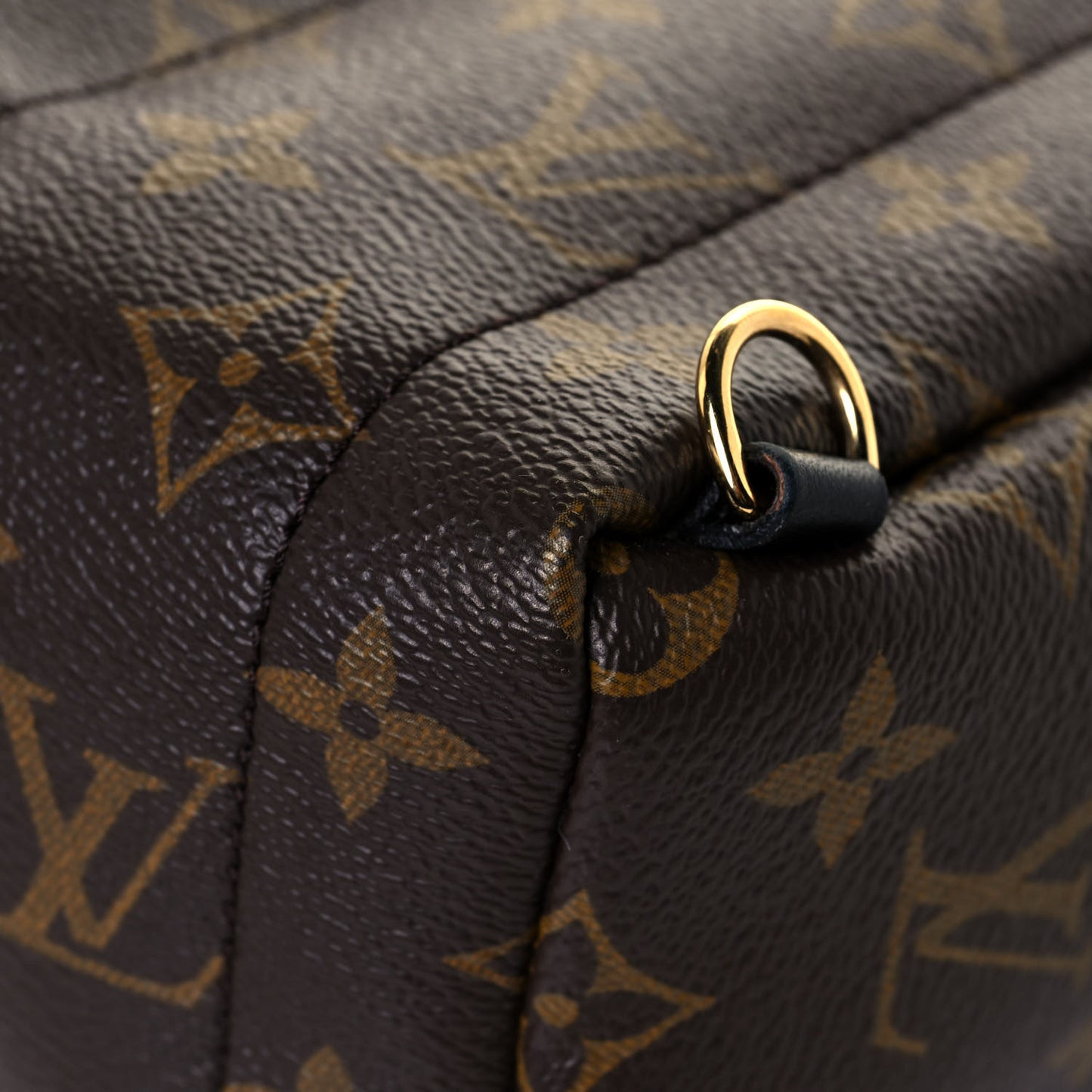 Monogram Palm Springs Backpack Mini