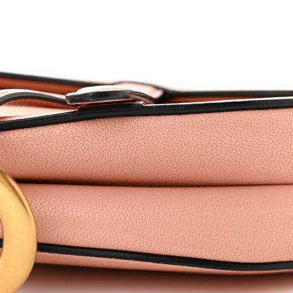 Christian Dior Goatskin Mini Saddle Bag Rose Des Vent 10 of 12