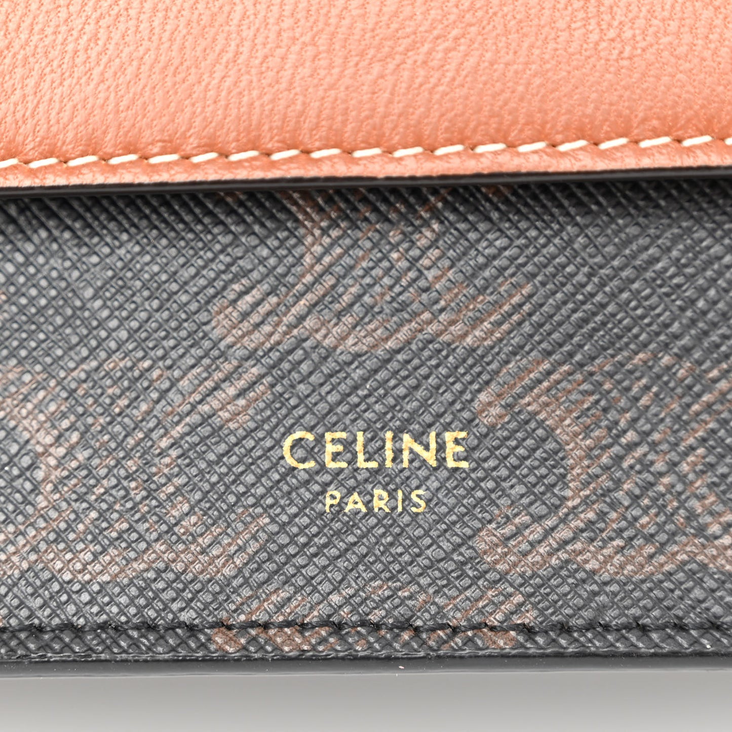 Triomphe Canvas Lambskin Wallet On Strap Tan