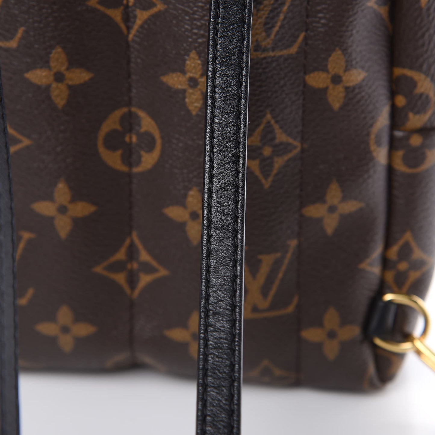 Monogram Palm Springs Backpack Mini