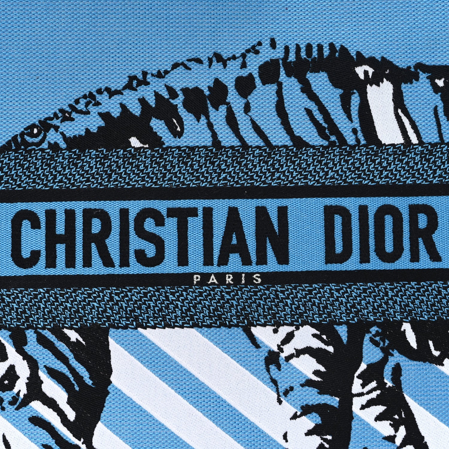 Christian Dior Canvas Embroidered Large Jungle Pop Book Tote Blue Multicolor 8 of 11
