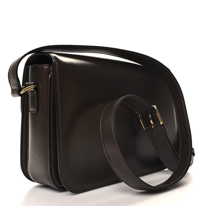 Celine Shiny Calfskin Medium Triomphe Ecorce 3 of 11