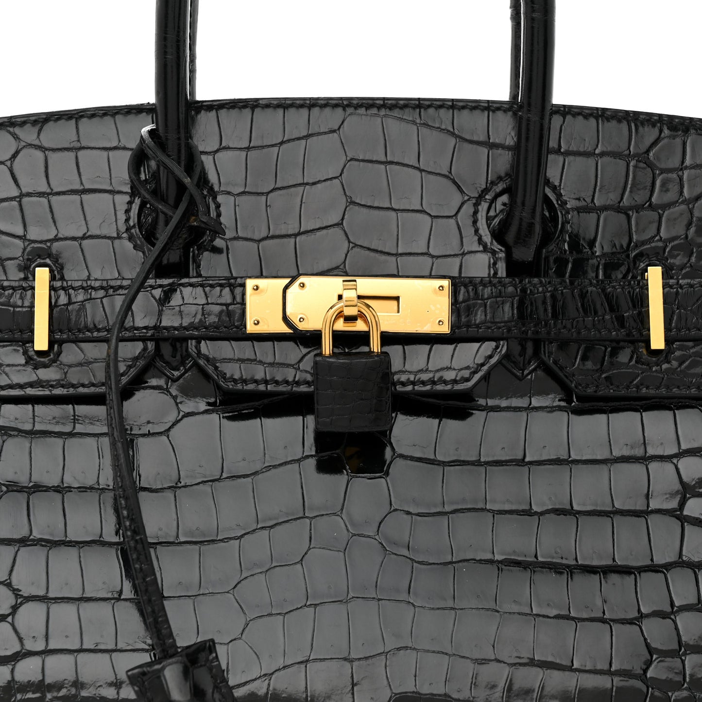 Shiny Porosus Crocodile Birkin 30 Black