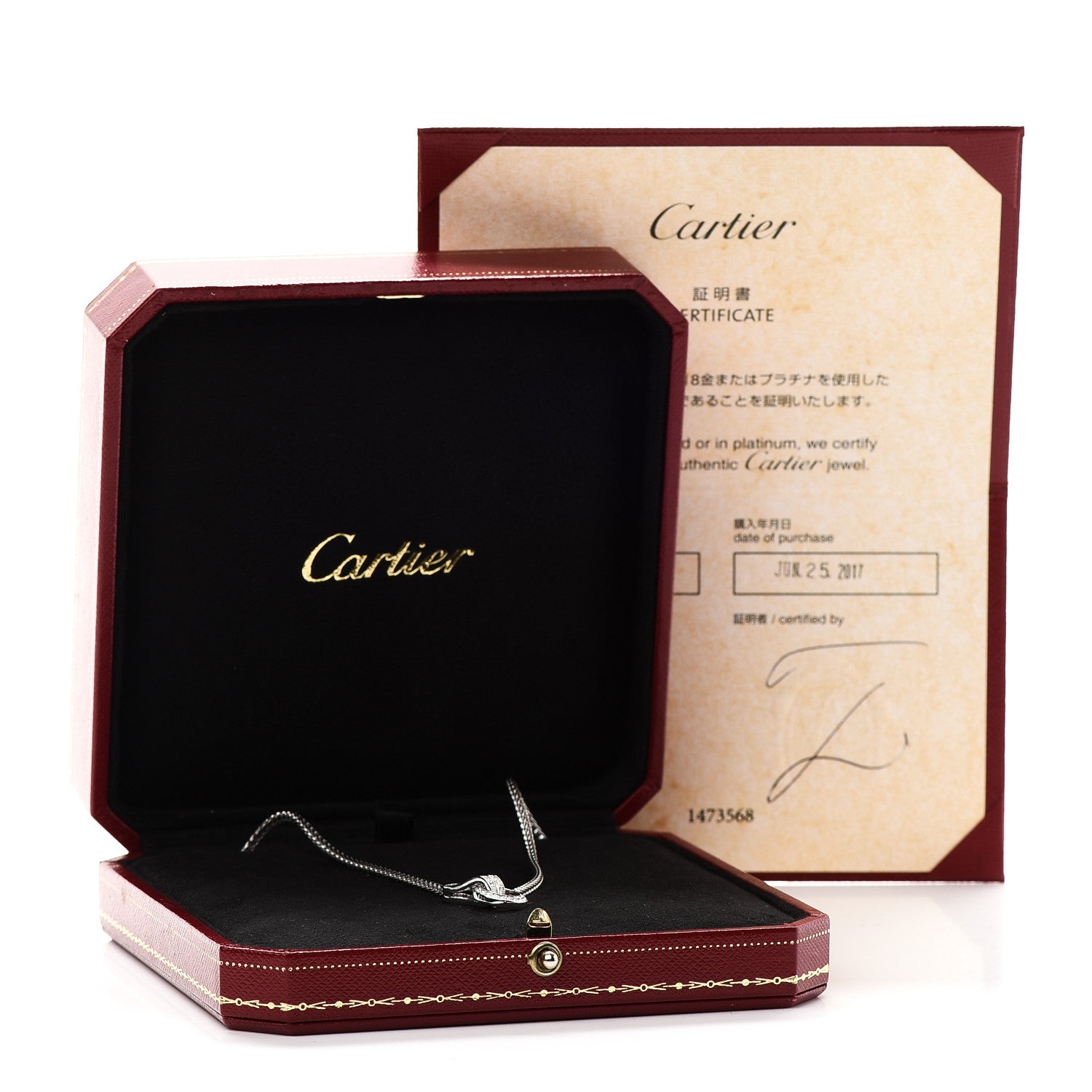 Cartier 18K White Gold Diamond Agrafe Rope Necklace 5 of 5