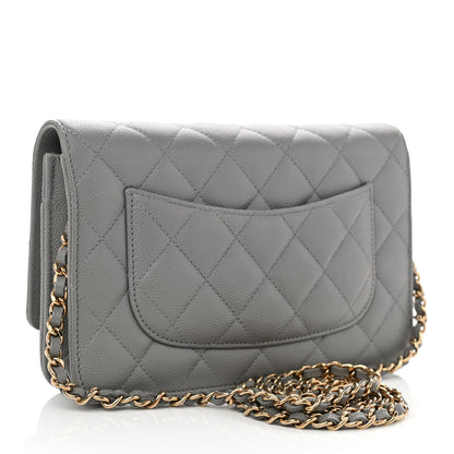 Chanel Caviar Quilted Wallet On Chain WOC Grey 3 of 12