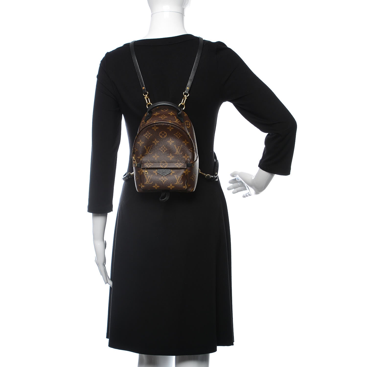 Louis Vuitton Monogram Palm Springs Backpack Mini 2 of 10