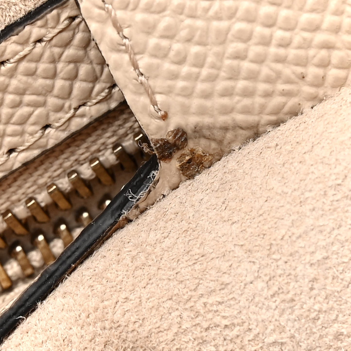 Grained Calfskin Saddle Bag With Strap Hazelnut