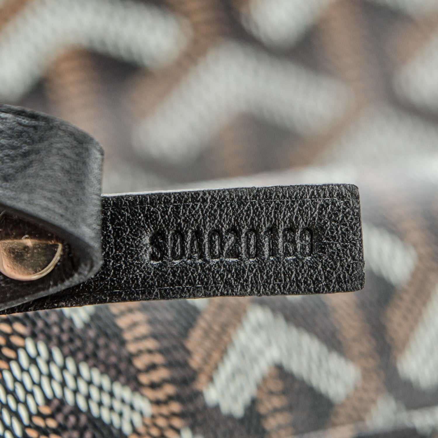 Goyard Goyardine Saint Louis PM Black 7 of 7