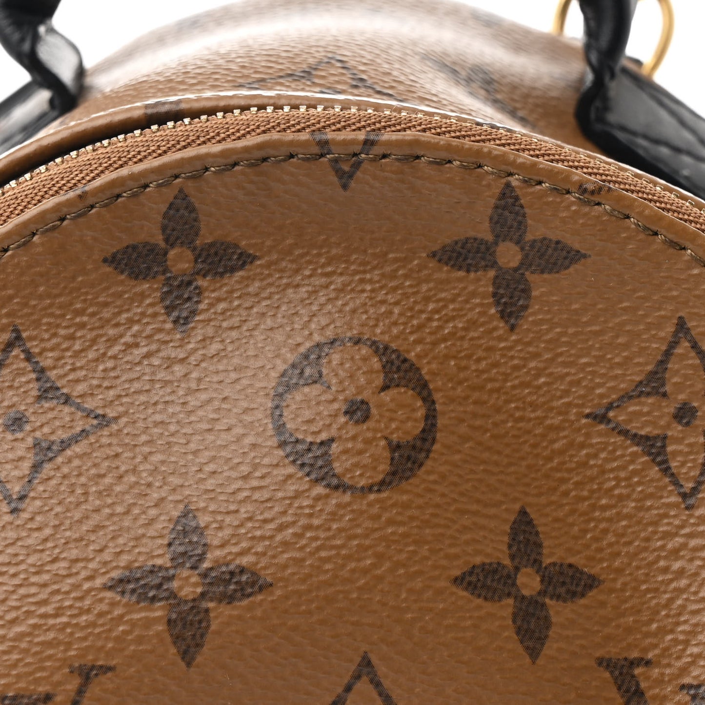 Reverse Monogram Palm Springs Backpack Mini