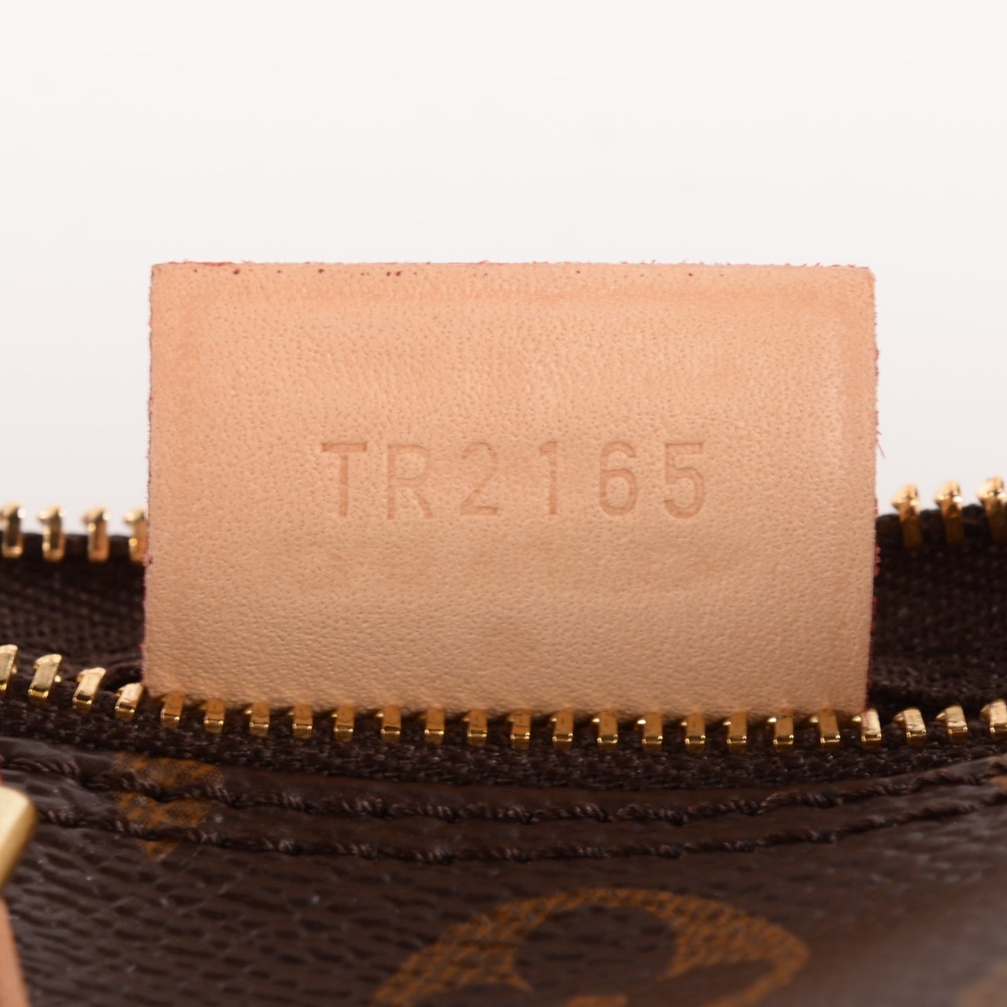 Monogram Nano Speedy