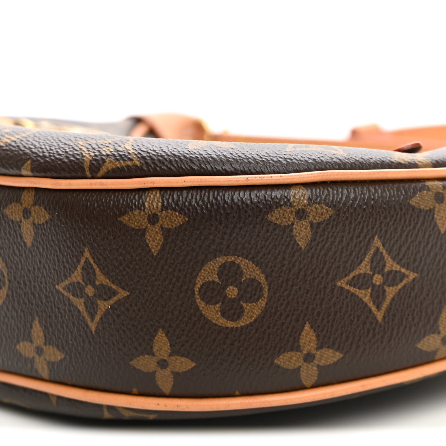 Louis Vuitton Monogram Loop 8 of 9