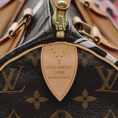 Louis Vuitton Monogram Bay Speedy 30 Rose Ballerine Poppy 6 of 6