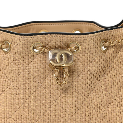 Chanel Braided Raffia Calfskin Quilted Mini Chanel 25 Handbag Beige Black 15 of 21