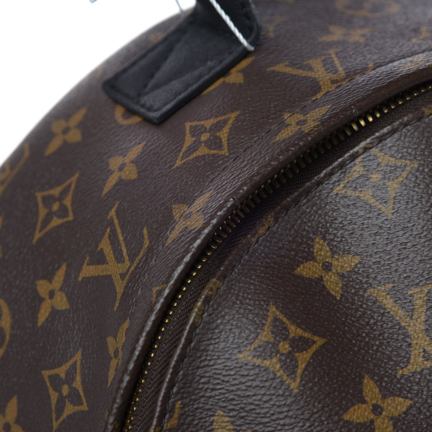 Monogram Palm Springs Backpack MM