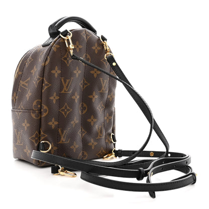Louis Vuitton Monogram Palm Springs Backpack Mini 3 of 13