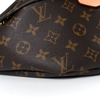 Louis Vuitton Monogram Bumbag 8 of 15