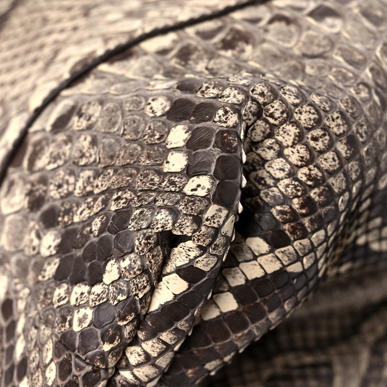 Bottega Veneta Python The Pouch Oversized Clutch Naturale 10 of 11