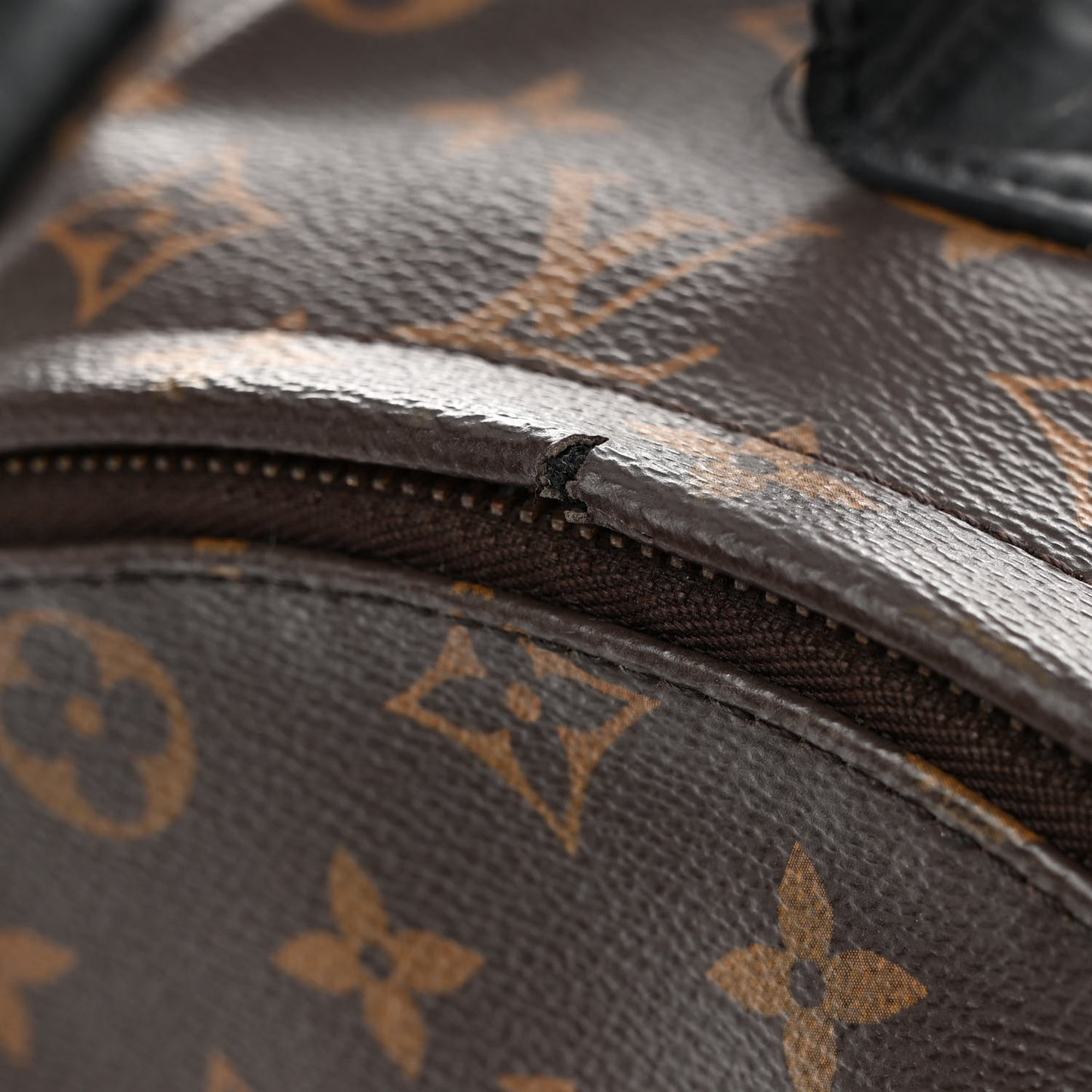 Monogram Palm Springs Backpack MM