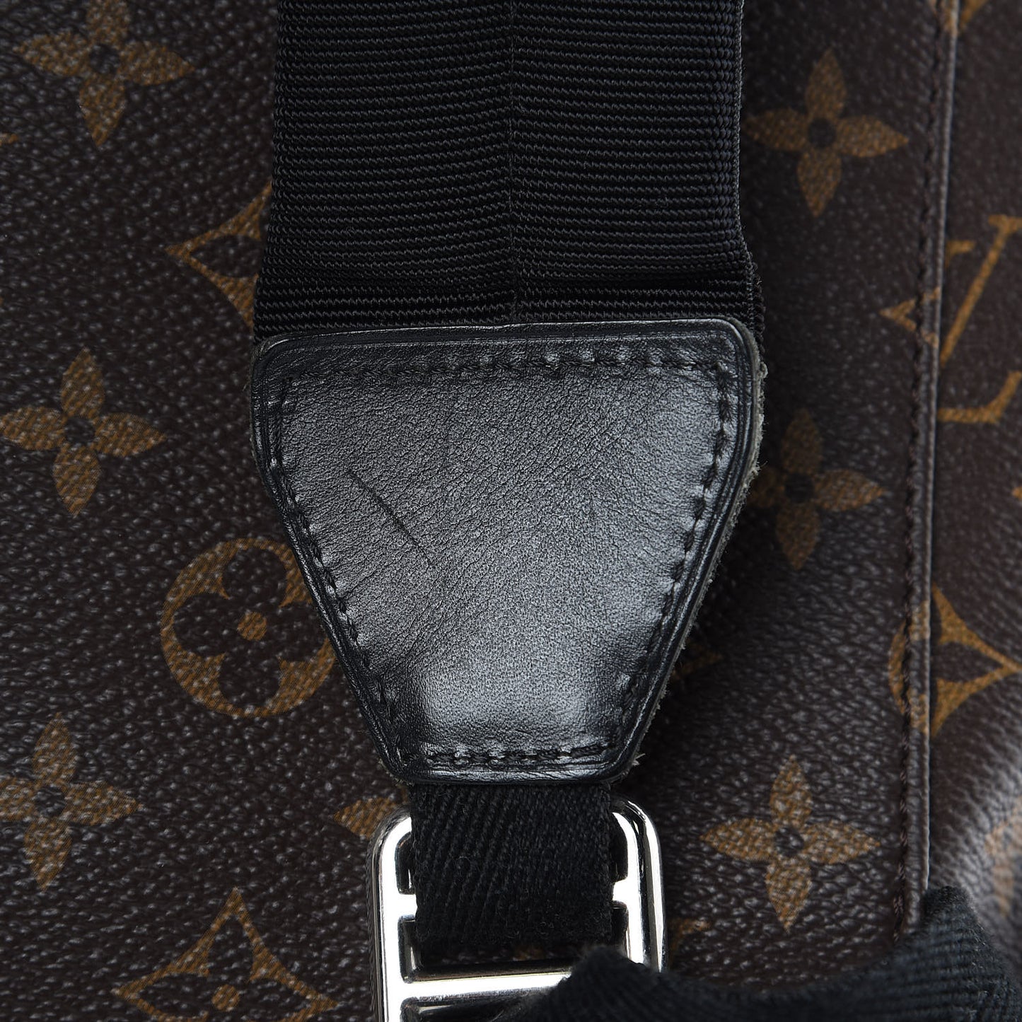 Monogram Macassar Christopher PM Backpack