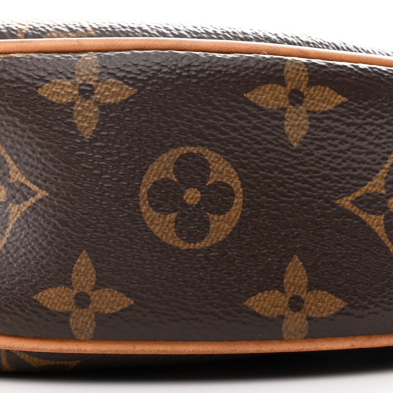 Louis Vuitton Monogram Loop 9 of 10