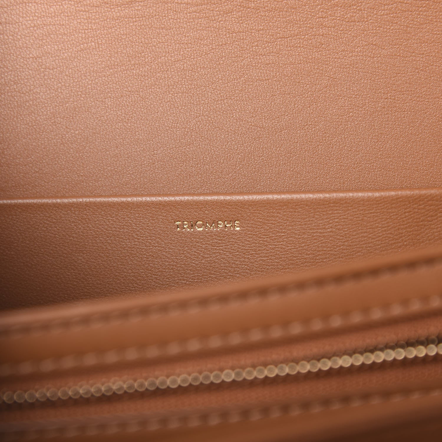 Celine Natural Calfskin Medium Triomphe Tan 6 of 14