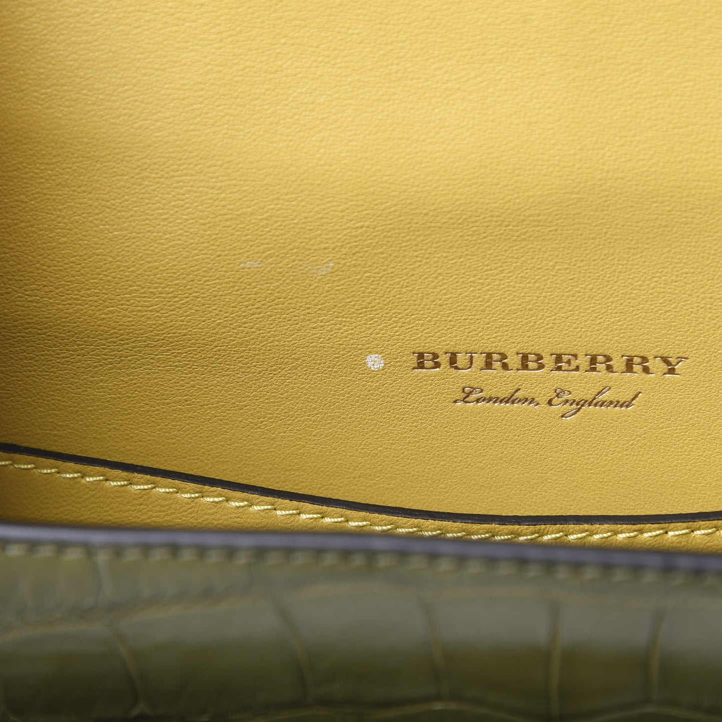 Alligator Square Satchel Dark Antique Green