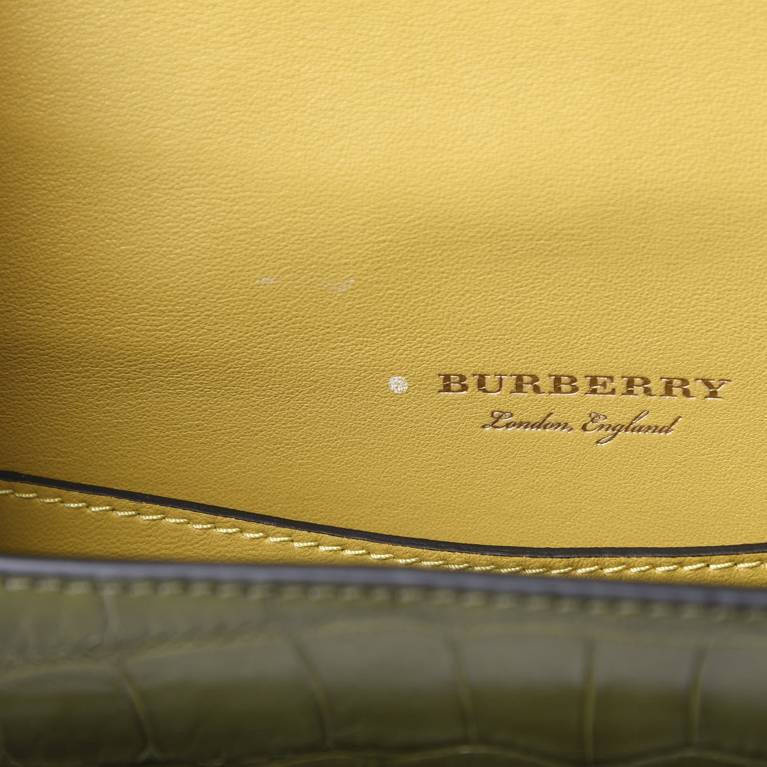 Burberry Alligator Square Satchel Dark Antique Green 11 of 12