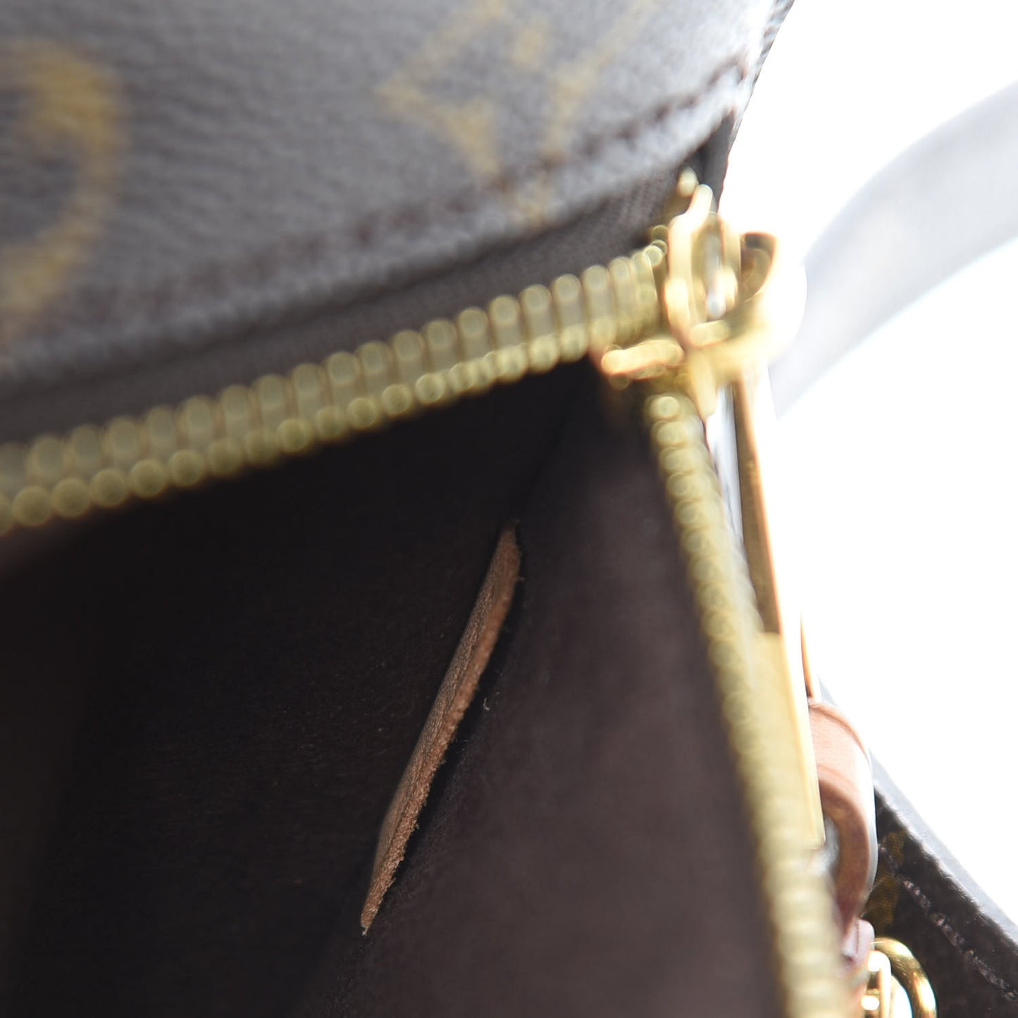 Monogram Pochette Metis