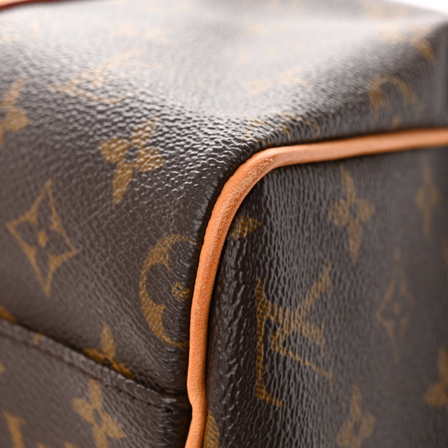 Monogram Carryall