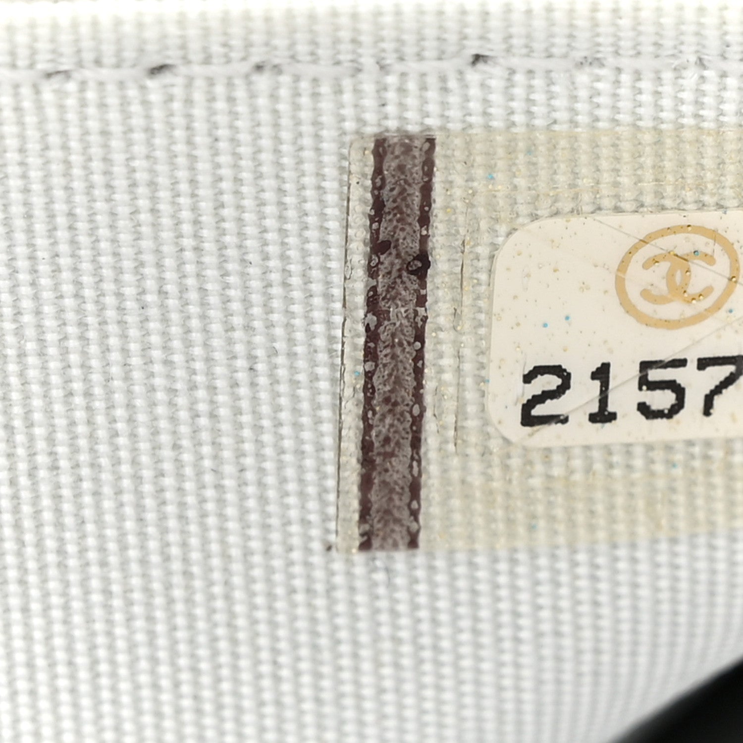 Chanel Metallic Galuchat Stingray Lambskin Boy Wallet On Chain WOC Silver 7 of 15