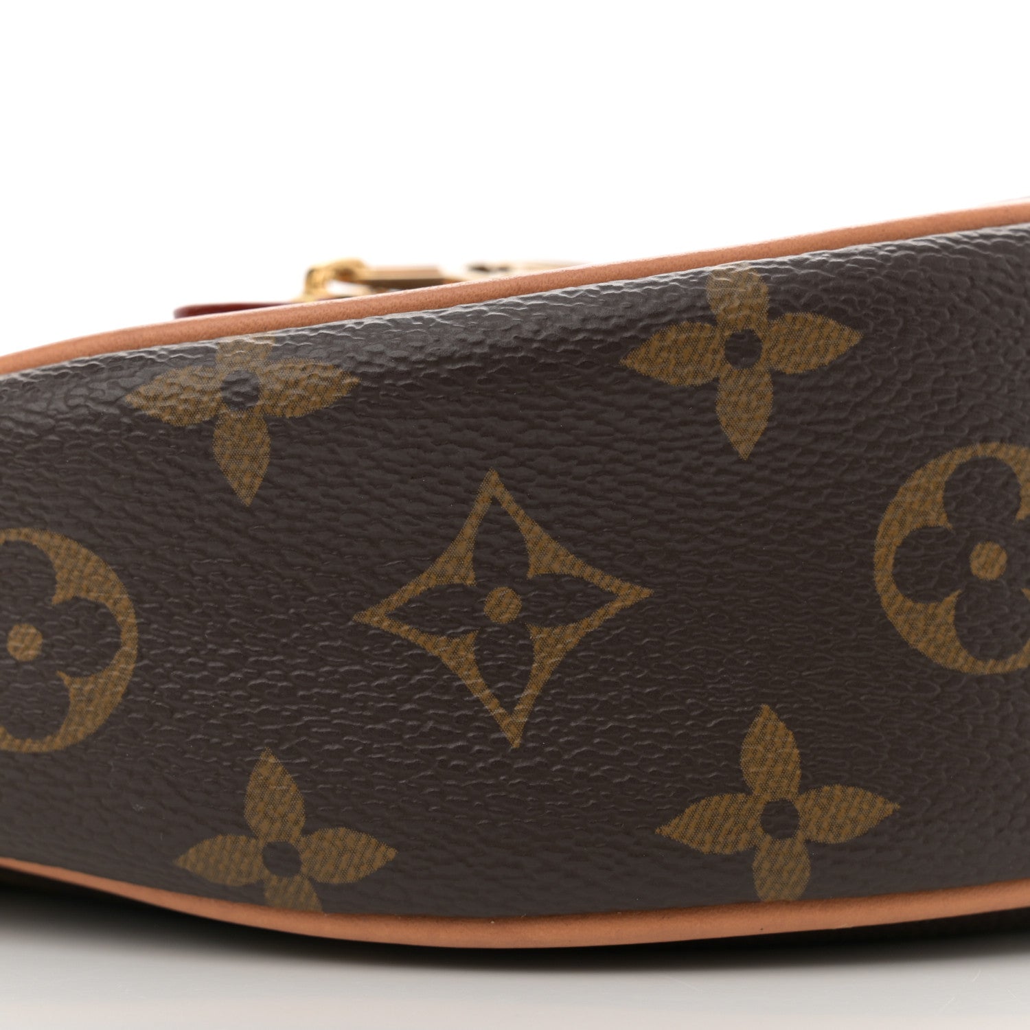 Louis Vuitton Monogram Loop 8 of 10