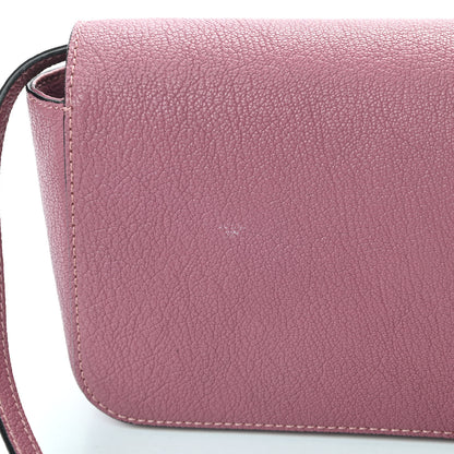 Chloe Goatskin Mini Elsie Crossbody Bag Pink 12 of 12