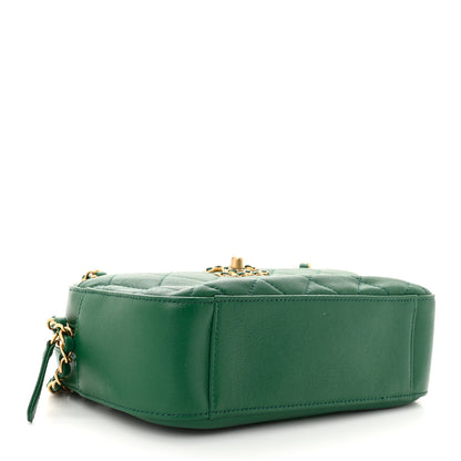 Chanel Goatskin Quilted Chanel 19 Camera Case Green 4 of 10