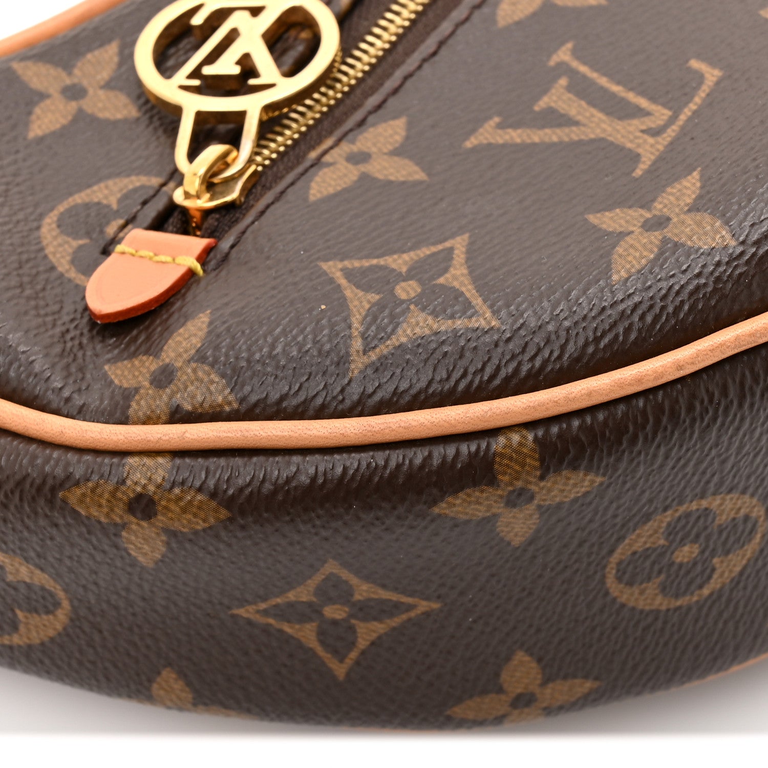 Louis Vuitton Monogram Loop 11 of 13