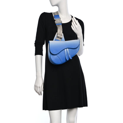 Christian Dior X DANIEL ARSHAM Grained Calfskin Gradient Saddle Bag Blue 2 of 13