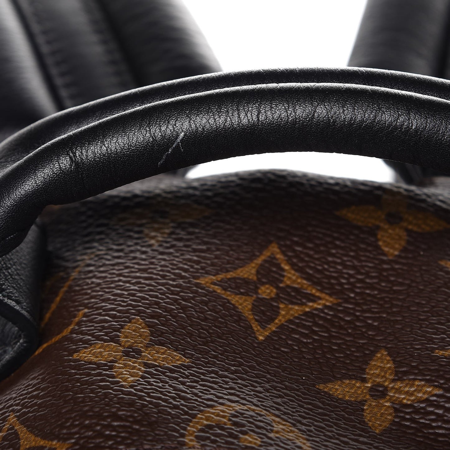 Reverse Monogram Palm Springs Backpack PM