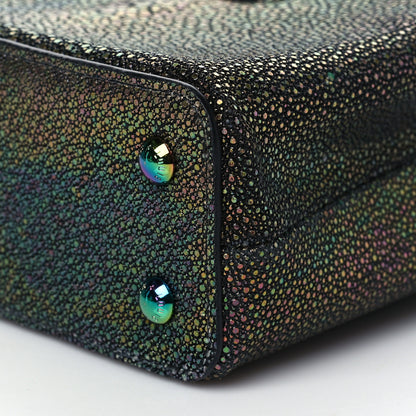 Louis Vuitton Iridescent Stingray Capucines Mini Black Multicolor 8 of 8