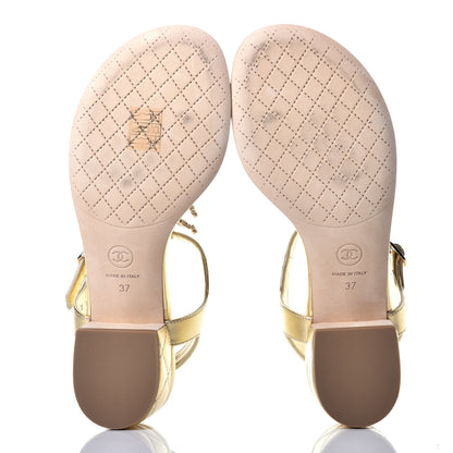 Chanel Goatskin Fantasy CC Pearl Thong Sandals 37 Gold 5 of 9
