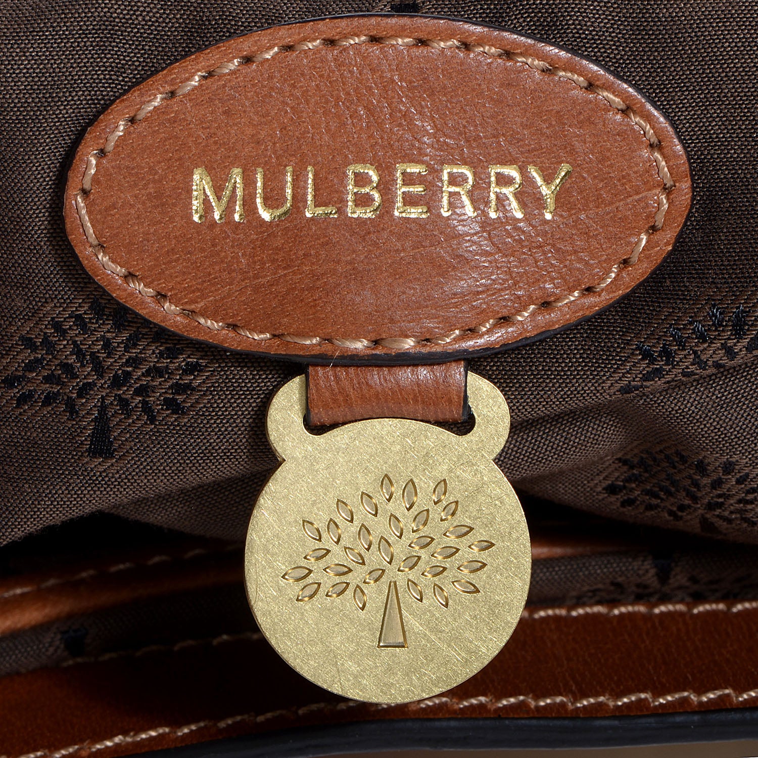 Mulberry Soft Buffalo Medium Alexa Oak 10 of 14