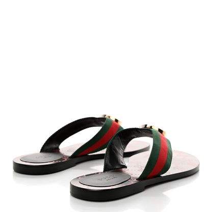 Gucci Nylon Calfskin Web GG Monogram Womens Thong Sandals 39 Green Red Cocoa 4 of 8