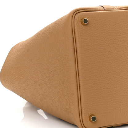 Hermes Taurillon Clemence Picotin Lock 18 PM Biscuit 3 of 10