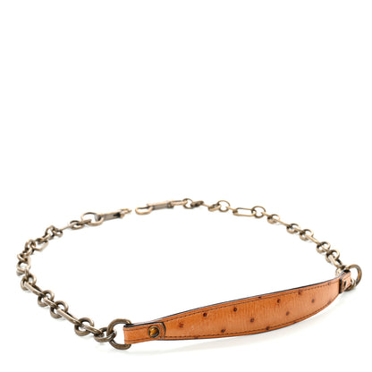Louis Vuitton Ostrich Oskar Waltz Chain Shoulder Strap 1 of 4