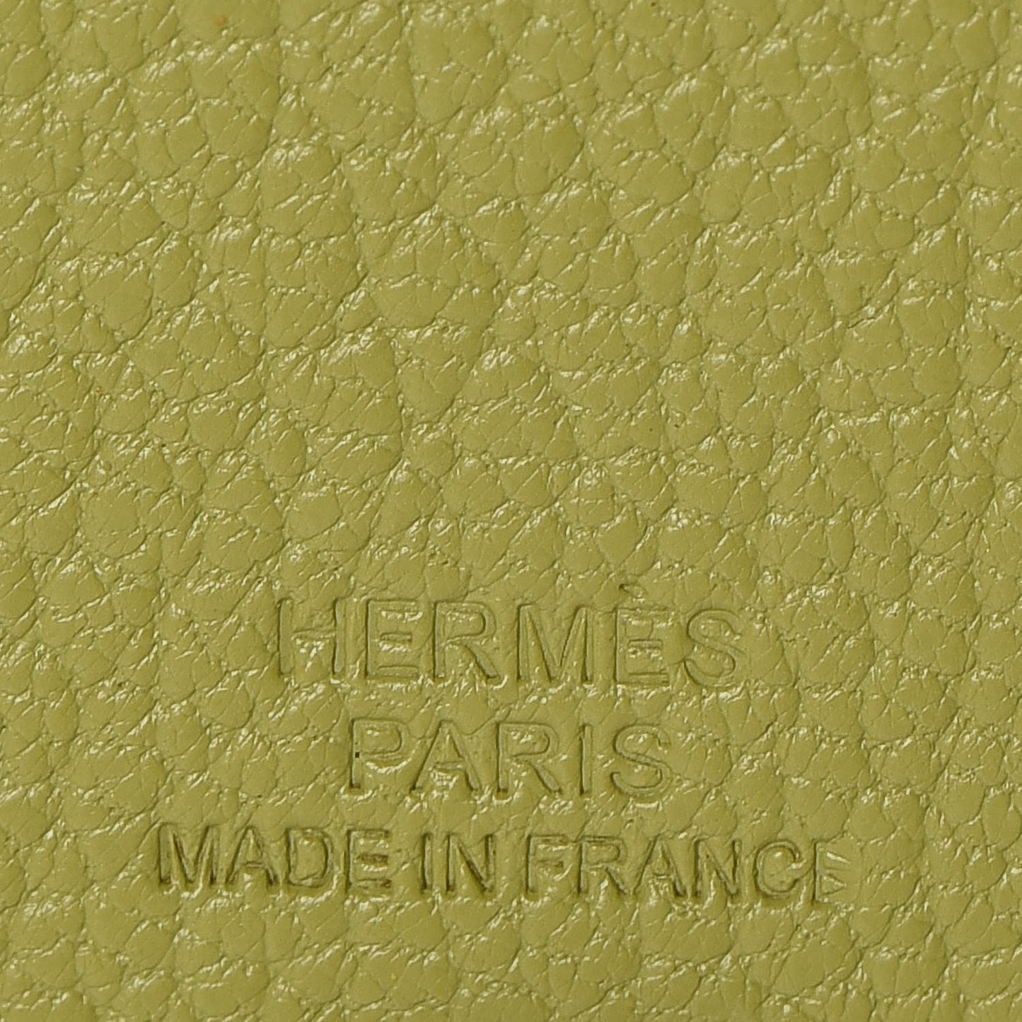 Chevre Mysore Frog Pikabook Bookmark Vert Anis