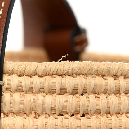 Loewe Raffia Small Square Basket Tote Bag Natural Tan 10 of 10