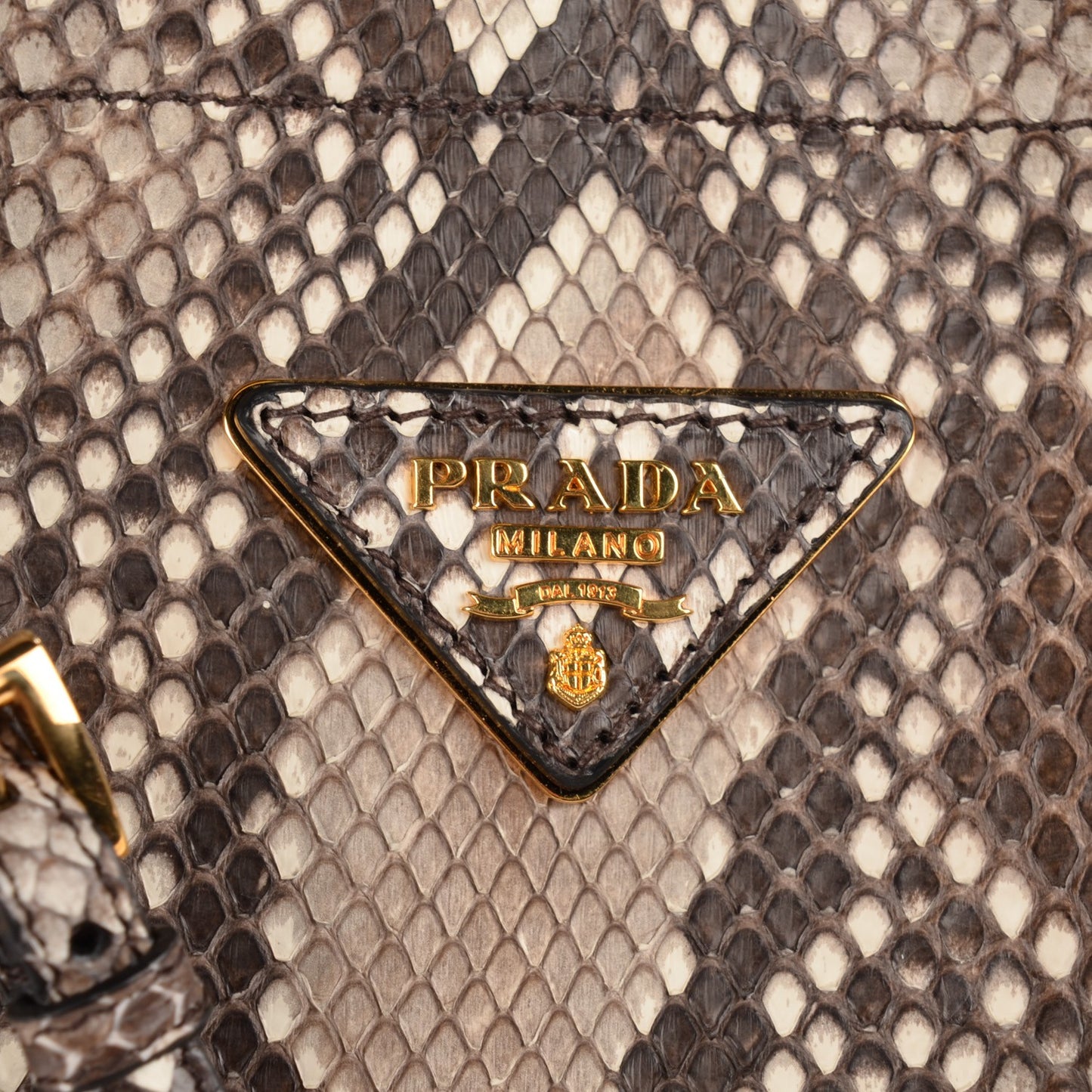 Python Large Double Bag Roccia